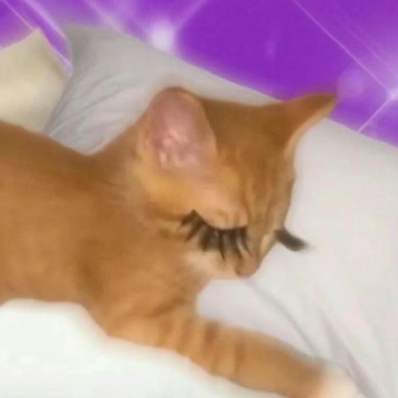 我想趋势