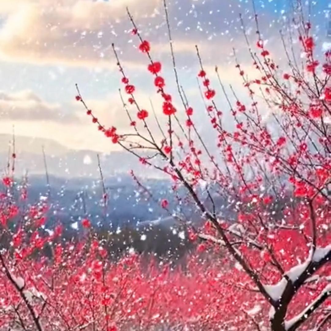 🍂&）财运满格¥🍂“💰