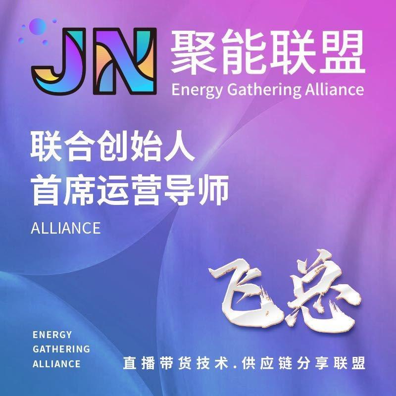 飞总 聚能联盟