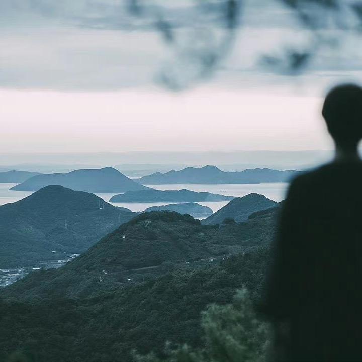小青茶