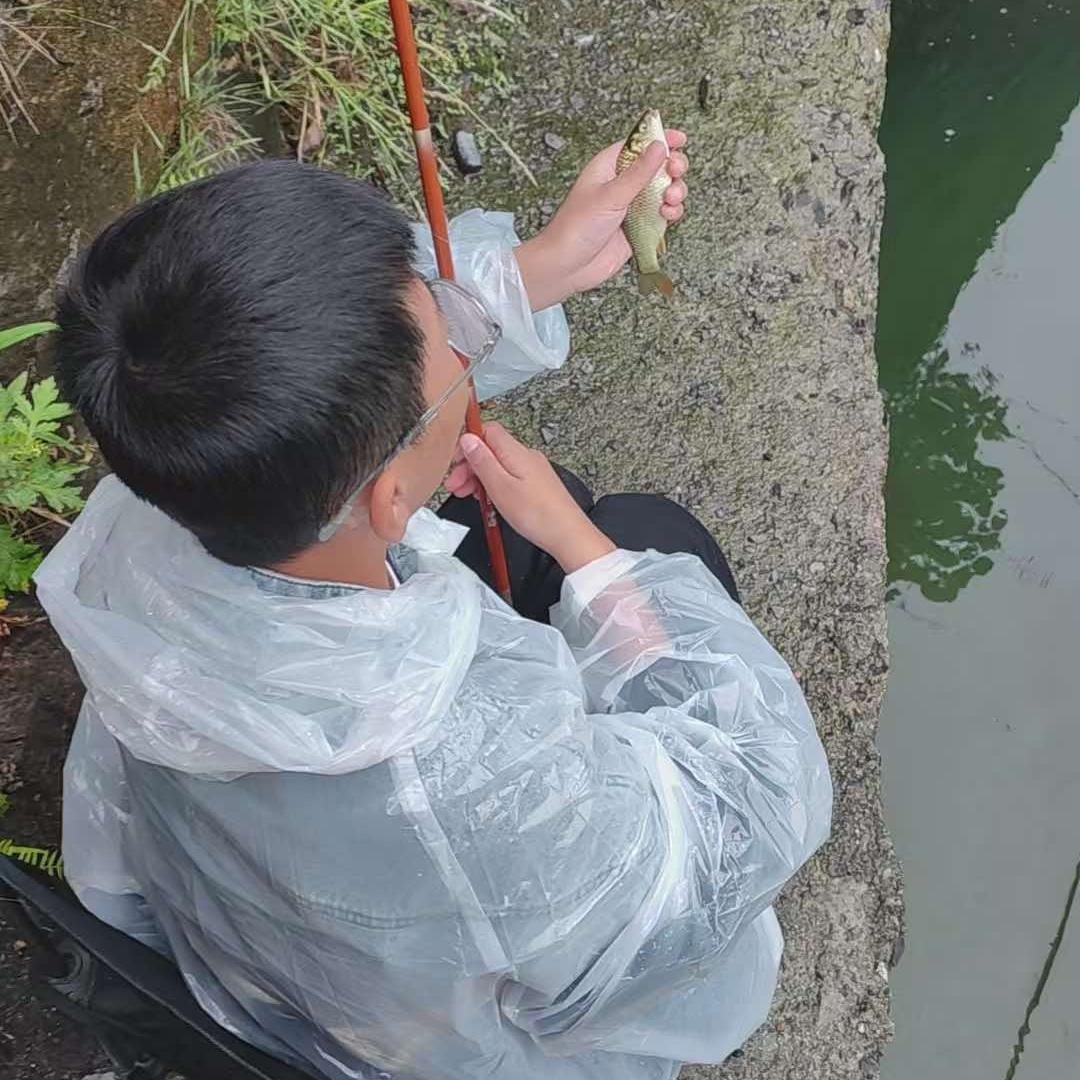 草莓跳跳兔