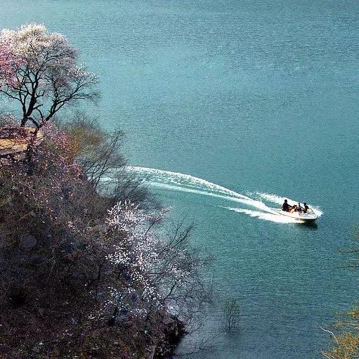 太行山～刘国梁