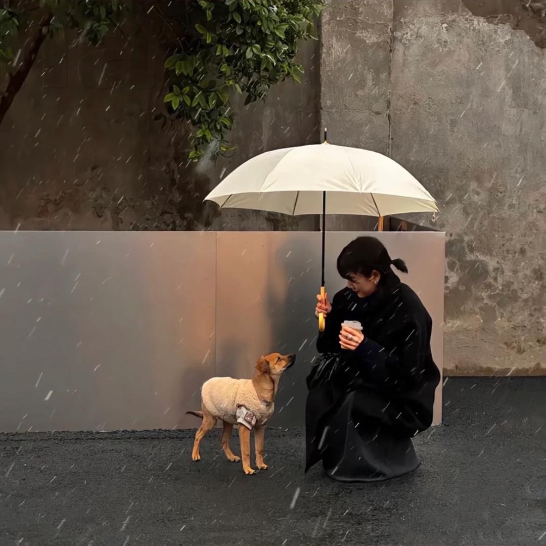 一小鱼（居家版）