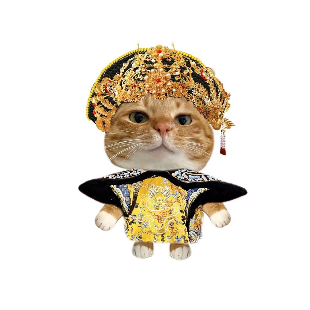 🫧小羊，