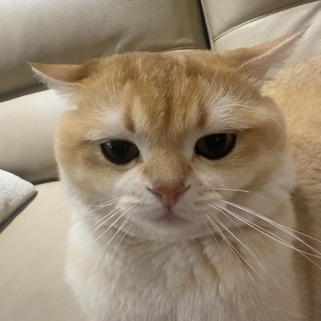 혜