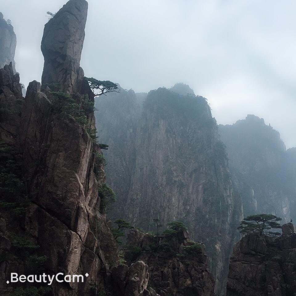 红豆