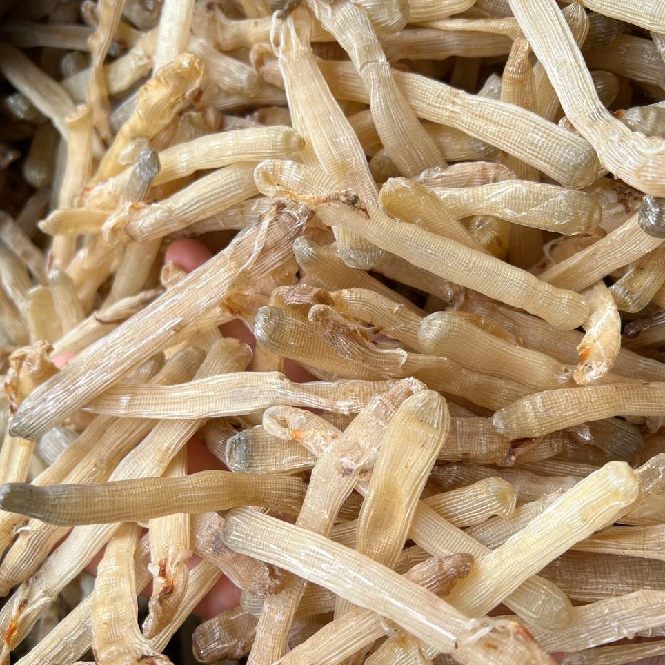 莫小龙的海味店