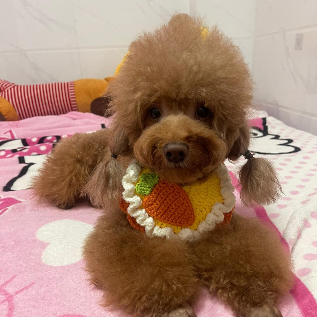 豆豆麻将合十消消乐