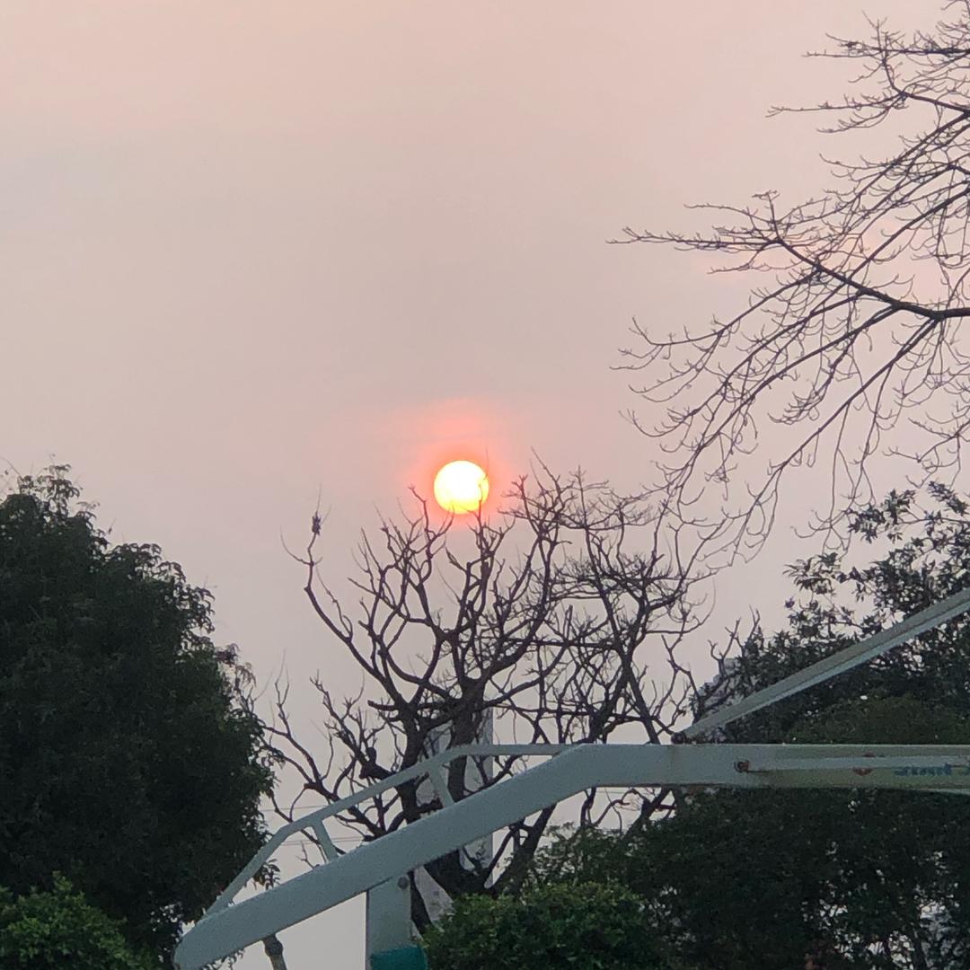 野山猪吃不了细糠