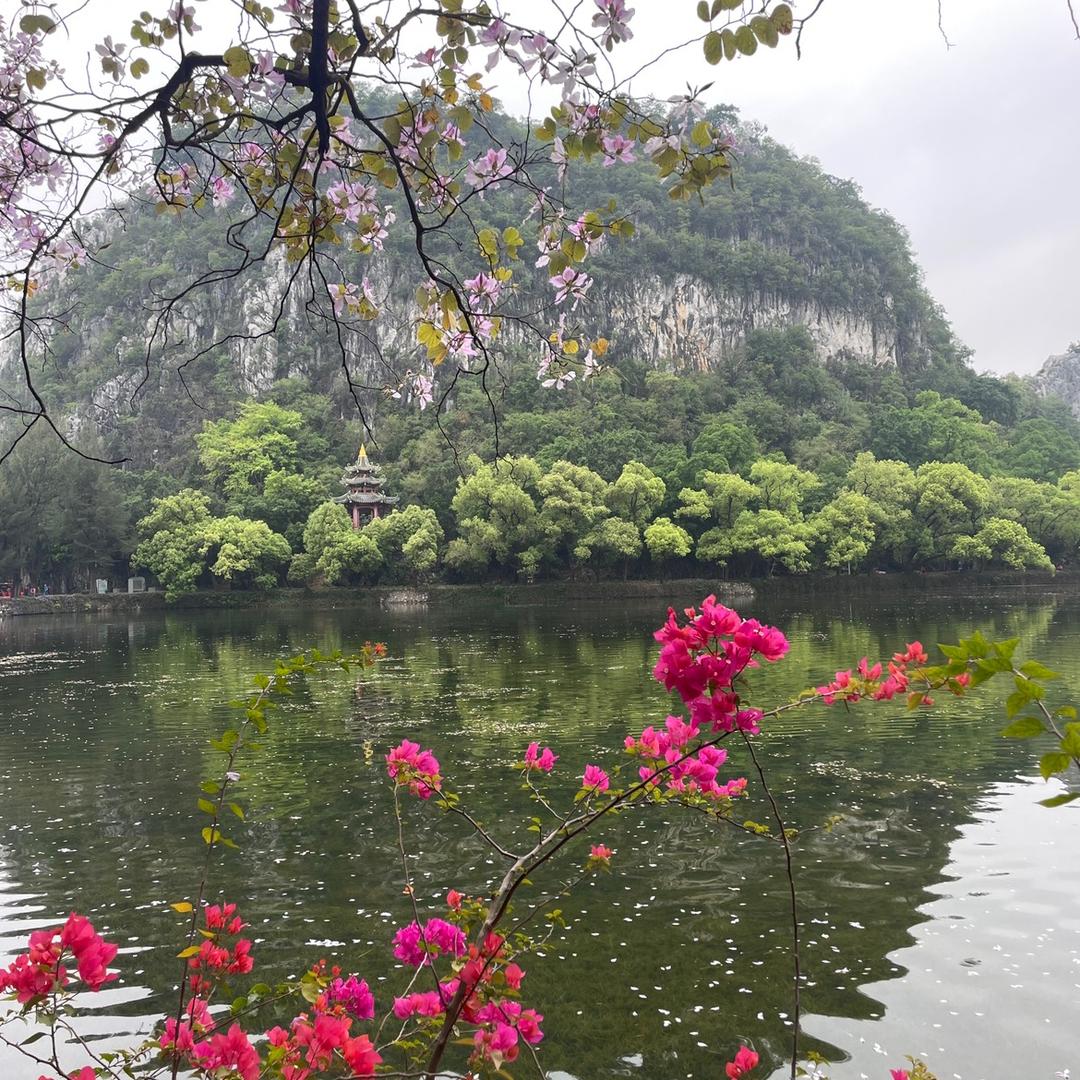 🥰阳光下的那一抹微笑😊