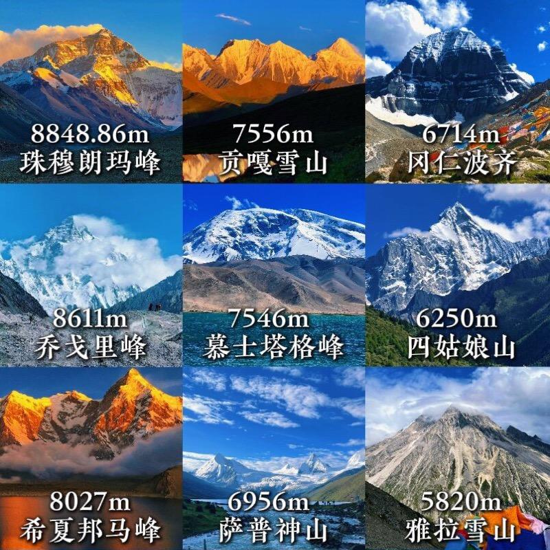 在佛山整电动车的桃子