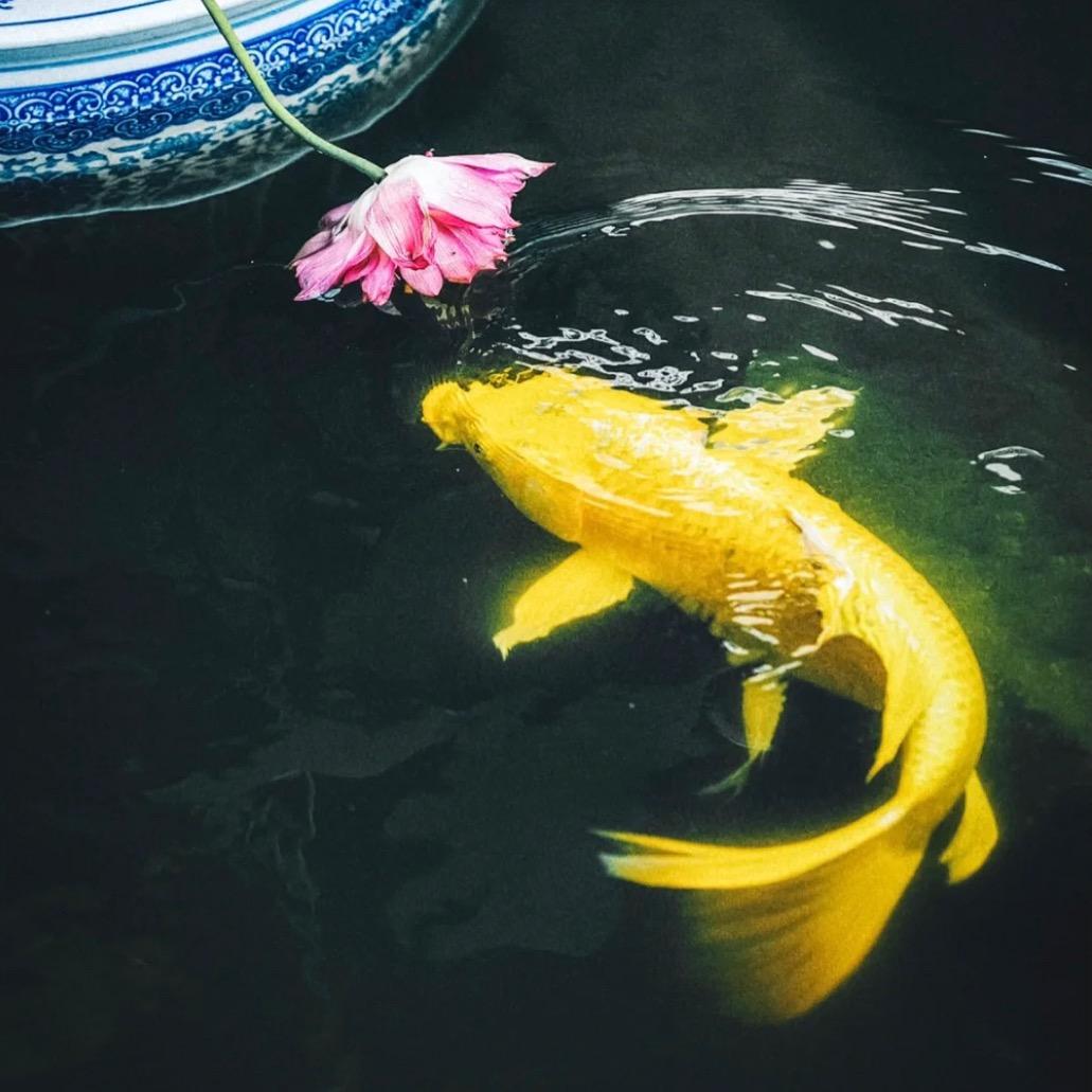 张沭瑶