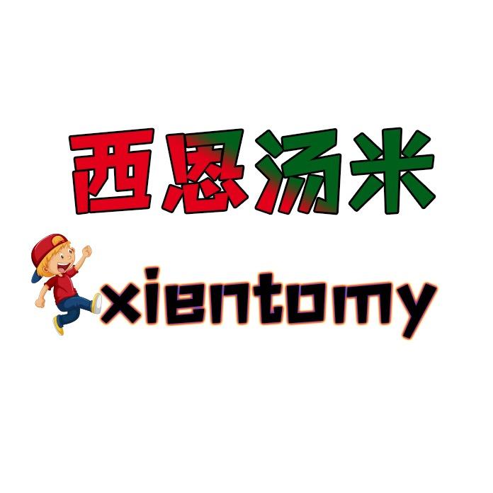西恩汤米青少年男装