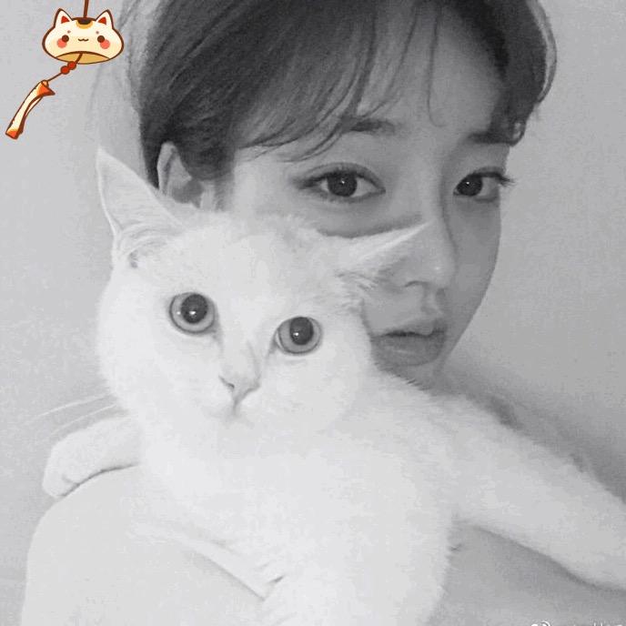 SᴗhiᥫᩣᯓY𖠚ᐝanᰔᩚ