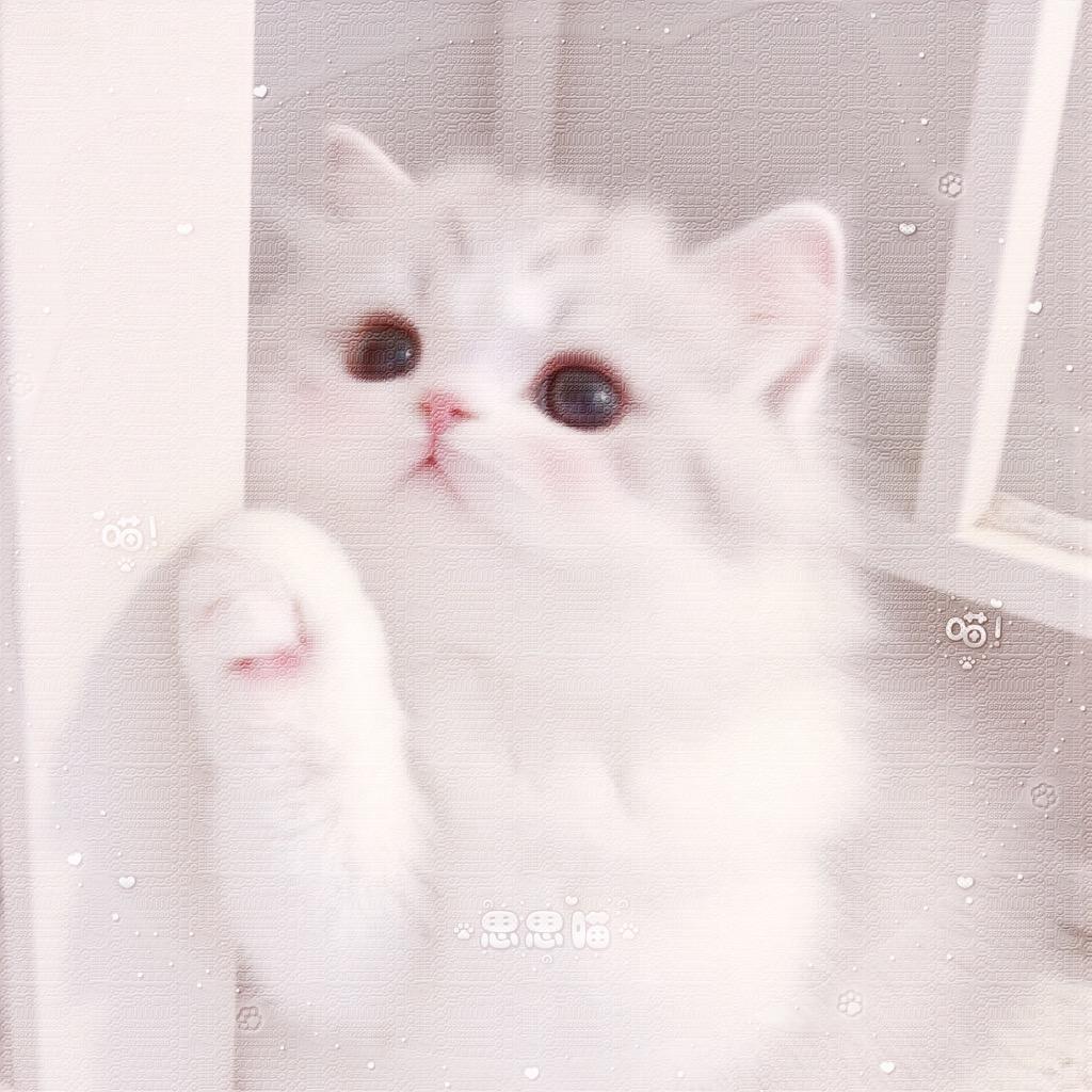 本就是萌