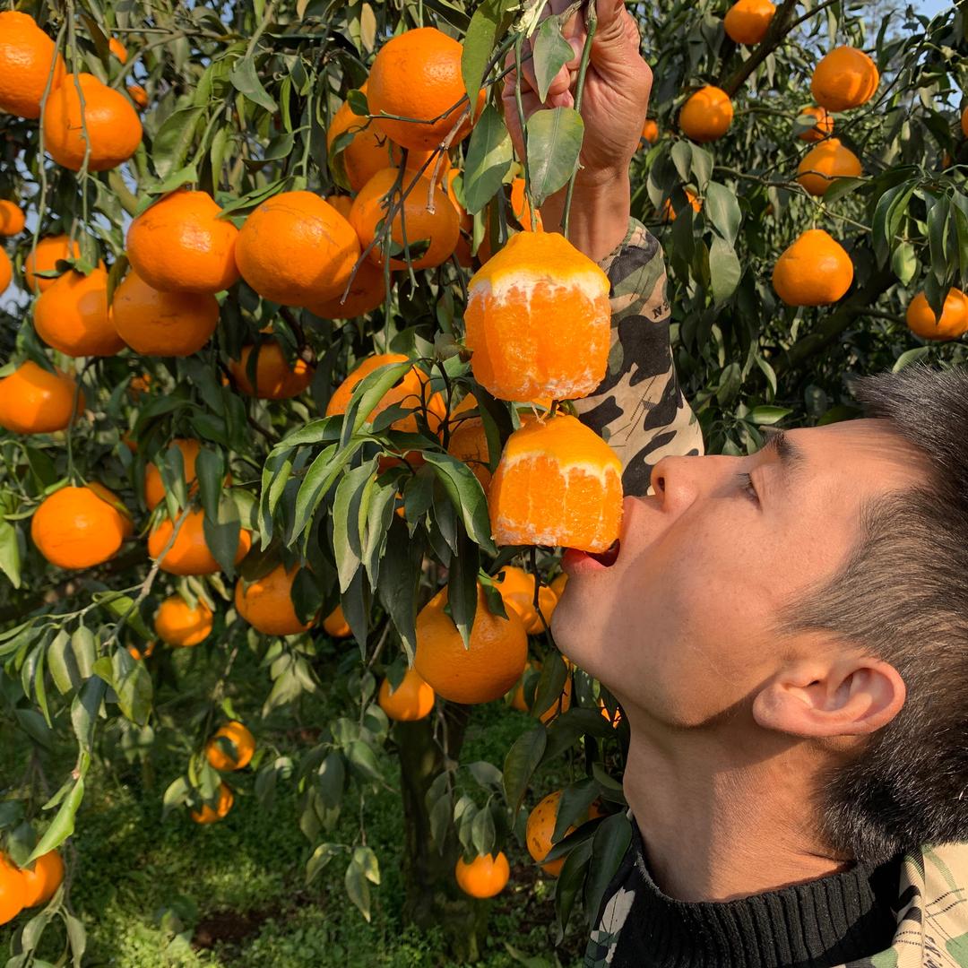 忆味鲜果
