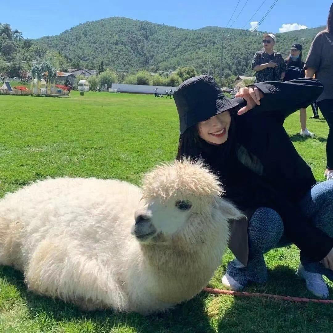 双下巴真可爱