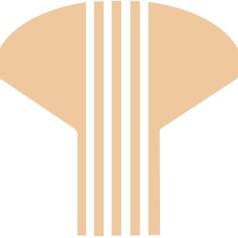 阿尼