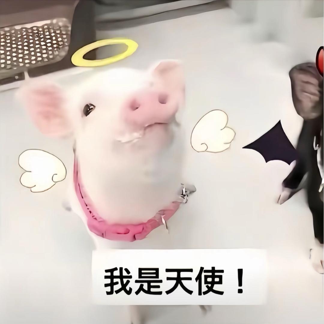 早上吃什么