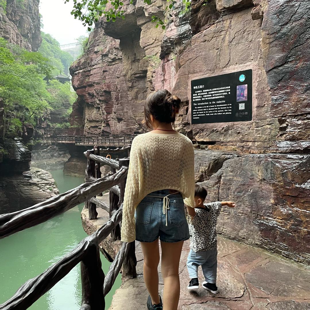 🐻发福的奥利奥