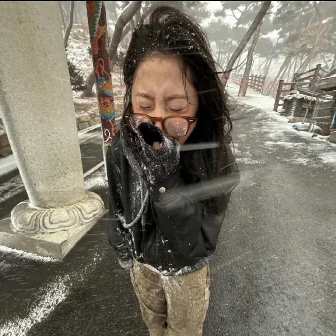 失眠冬瓜