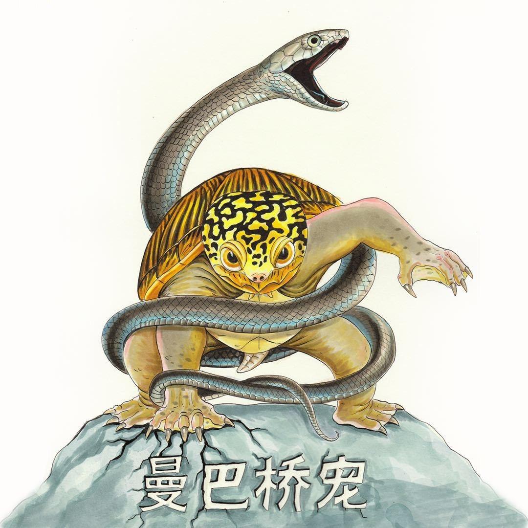 曼巴桥宠