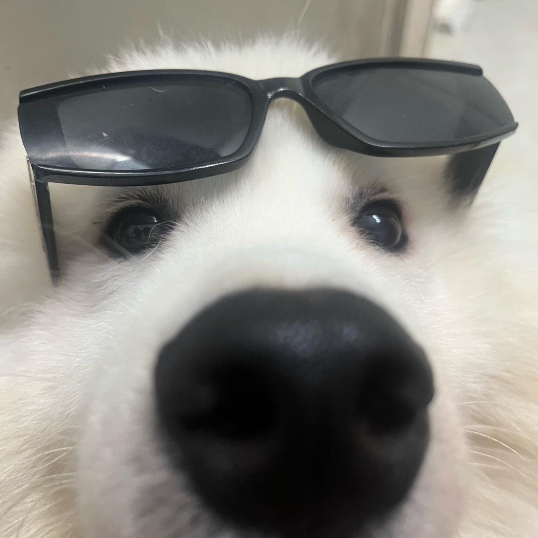 深夜漫画家 Vegas