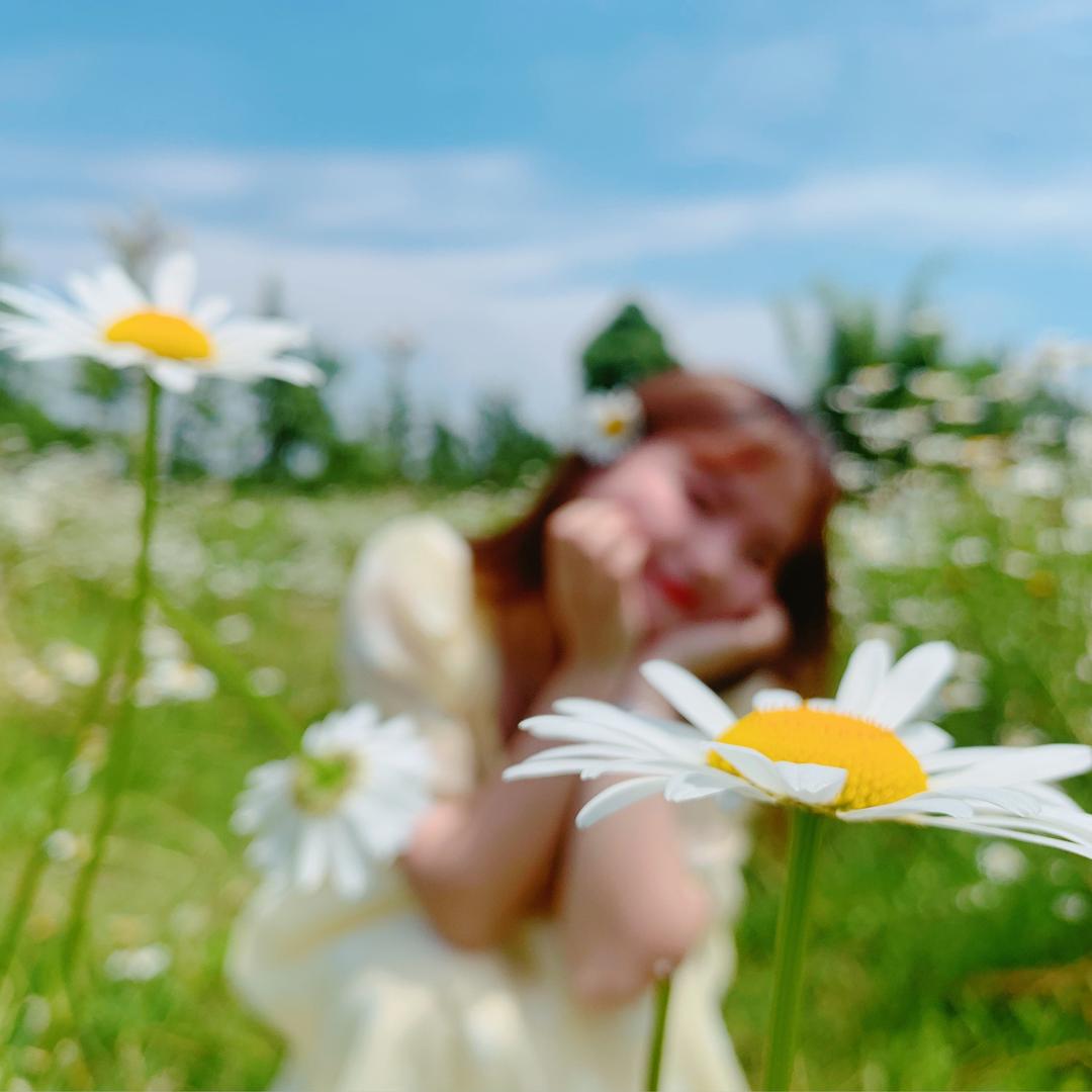 小兔子不吃胡萝卜