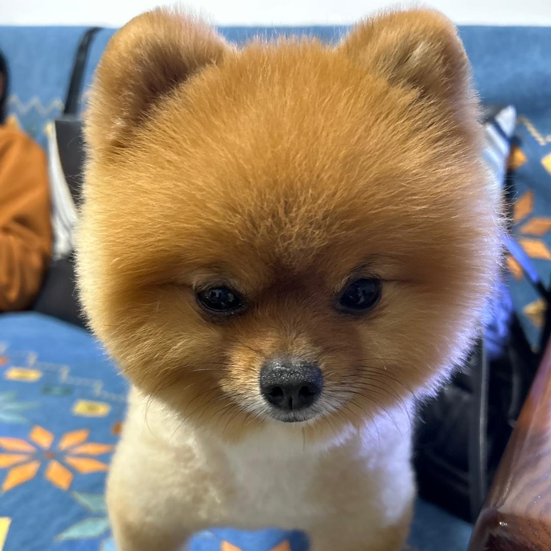 锦瑟