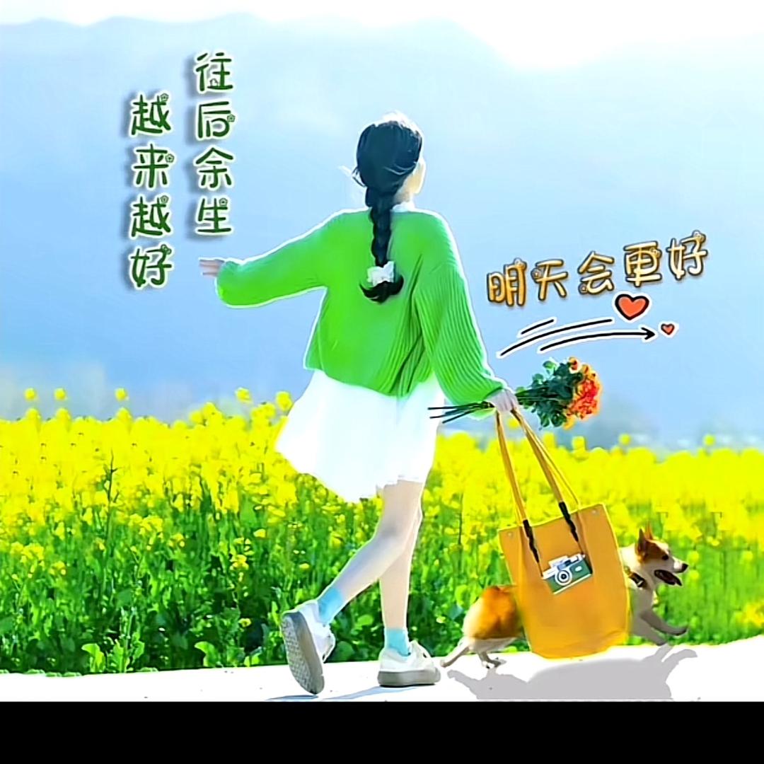 心若向阳、便是晴天❤️