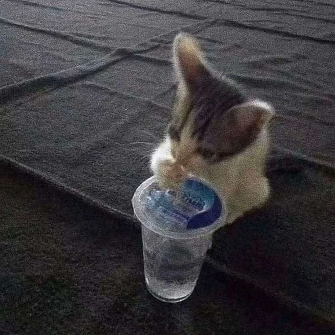 山楂一颗
