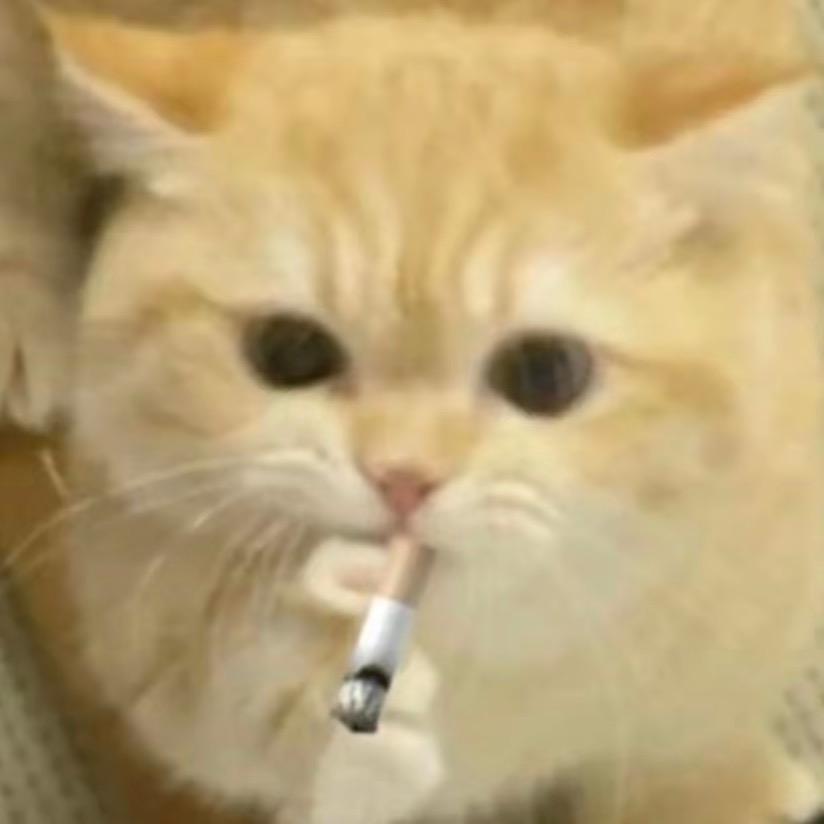 吉米殿下