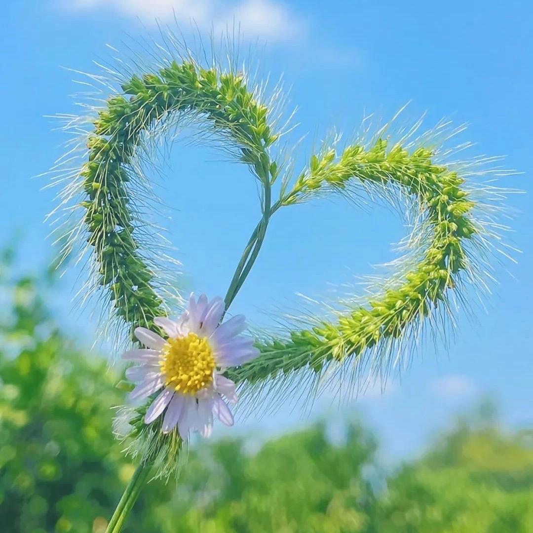 💕ᥫᦸᐝ不问归期໊ꫛꦿ࿐