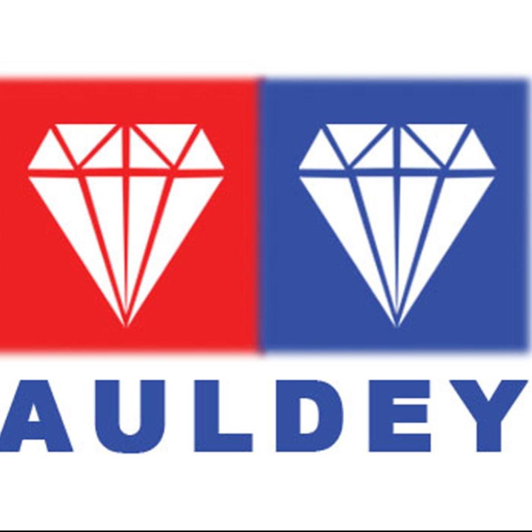 奥迪双钻AULDEY儒创专卖店