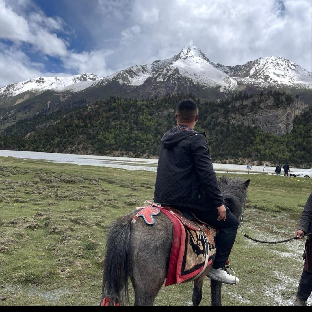 毛驴的远方(丹丹)