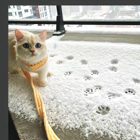四季优选百货