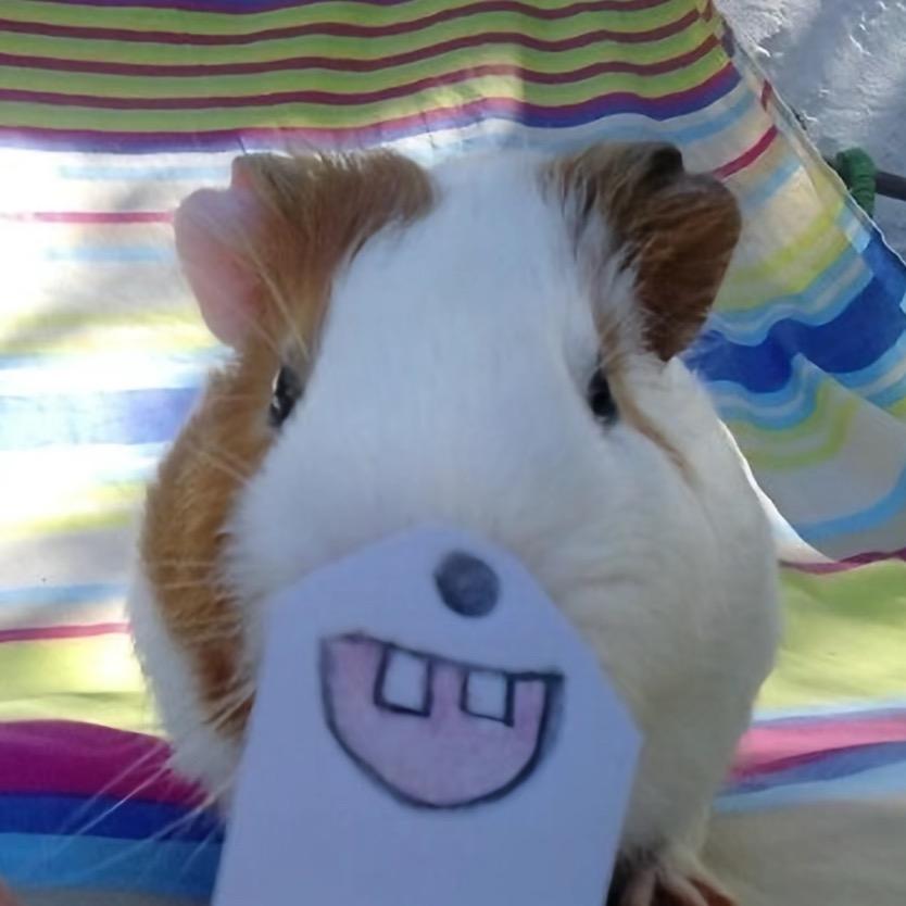 你要和没迪奥的我计较？