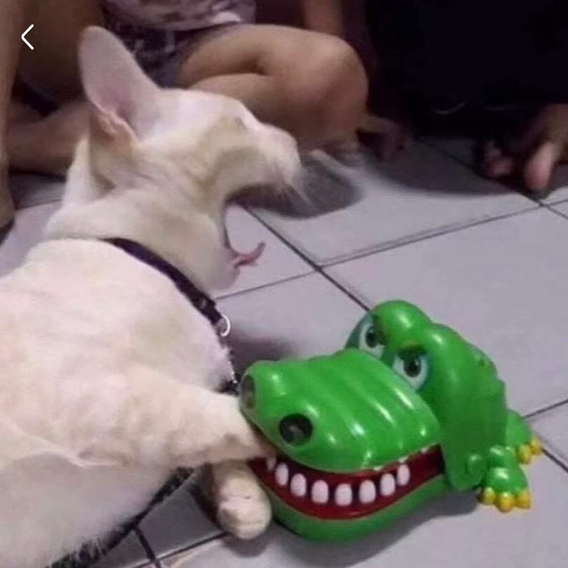 哦豁.