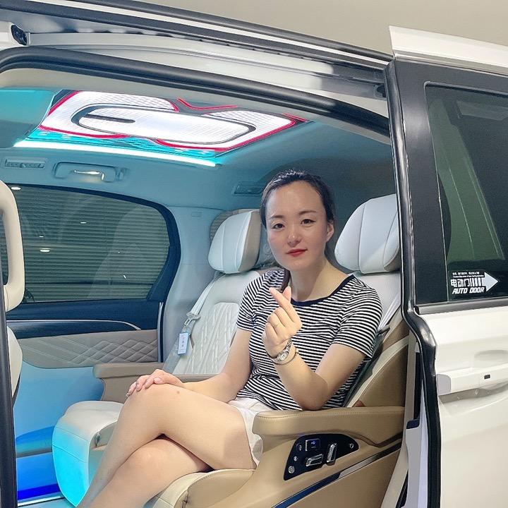 名亮燕子-商务车
