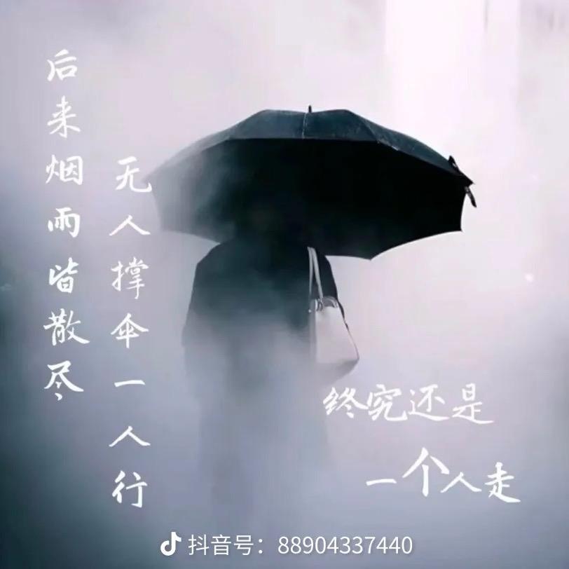 小白鸽