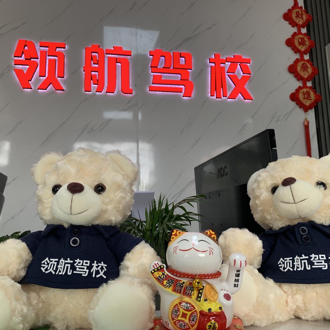 安阳县领航驾校