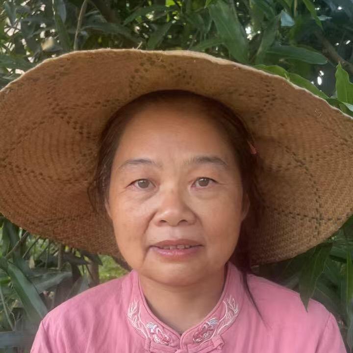 阳江英姨