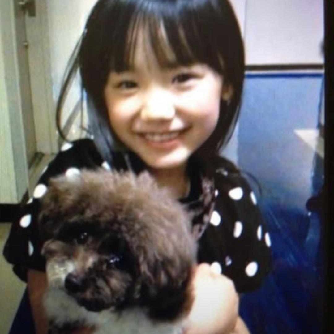 北冰洋饥饿入睡的河豚🐡