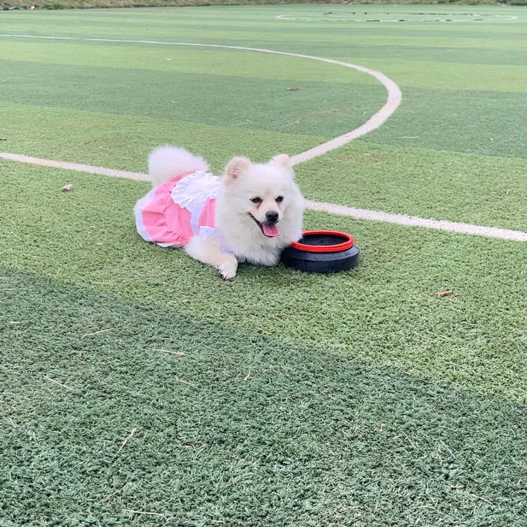 小张有小张
