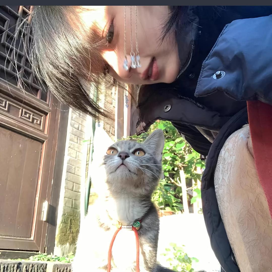 喵喵🐱