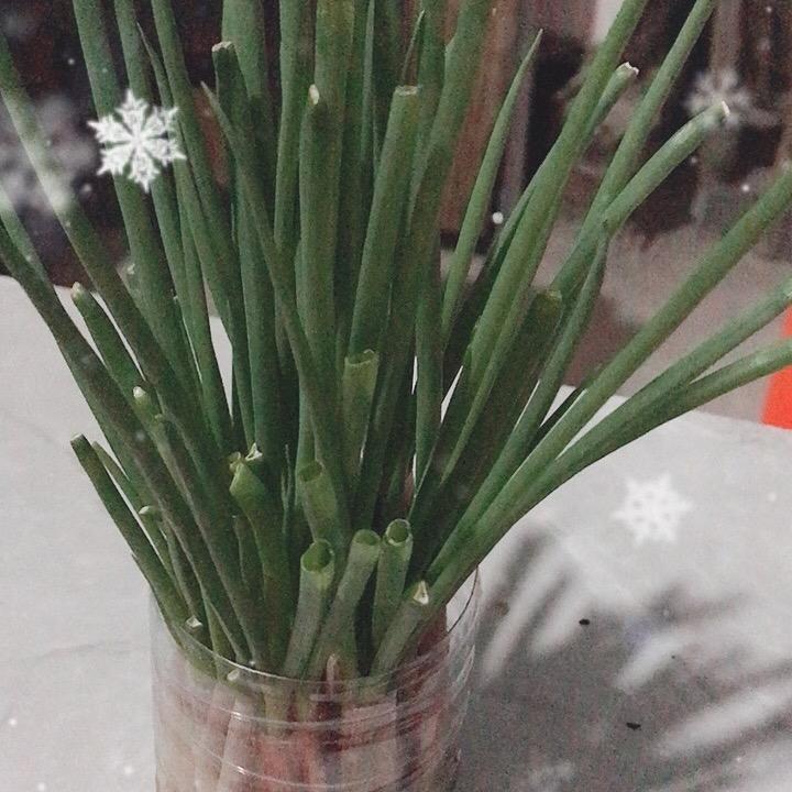 我只是你生命中的过客