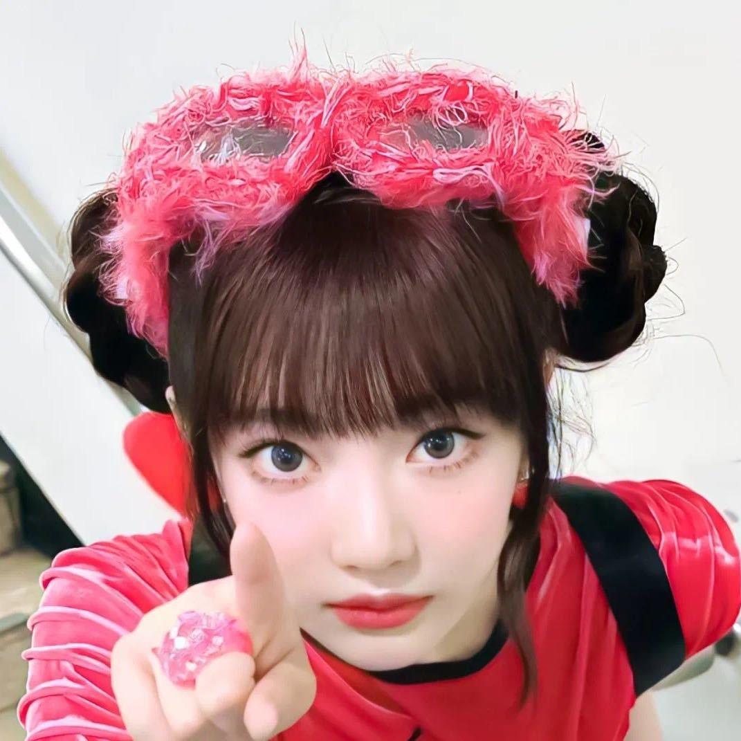 卷心菜小狗🐶
