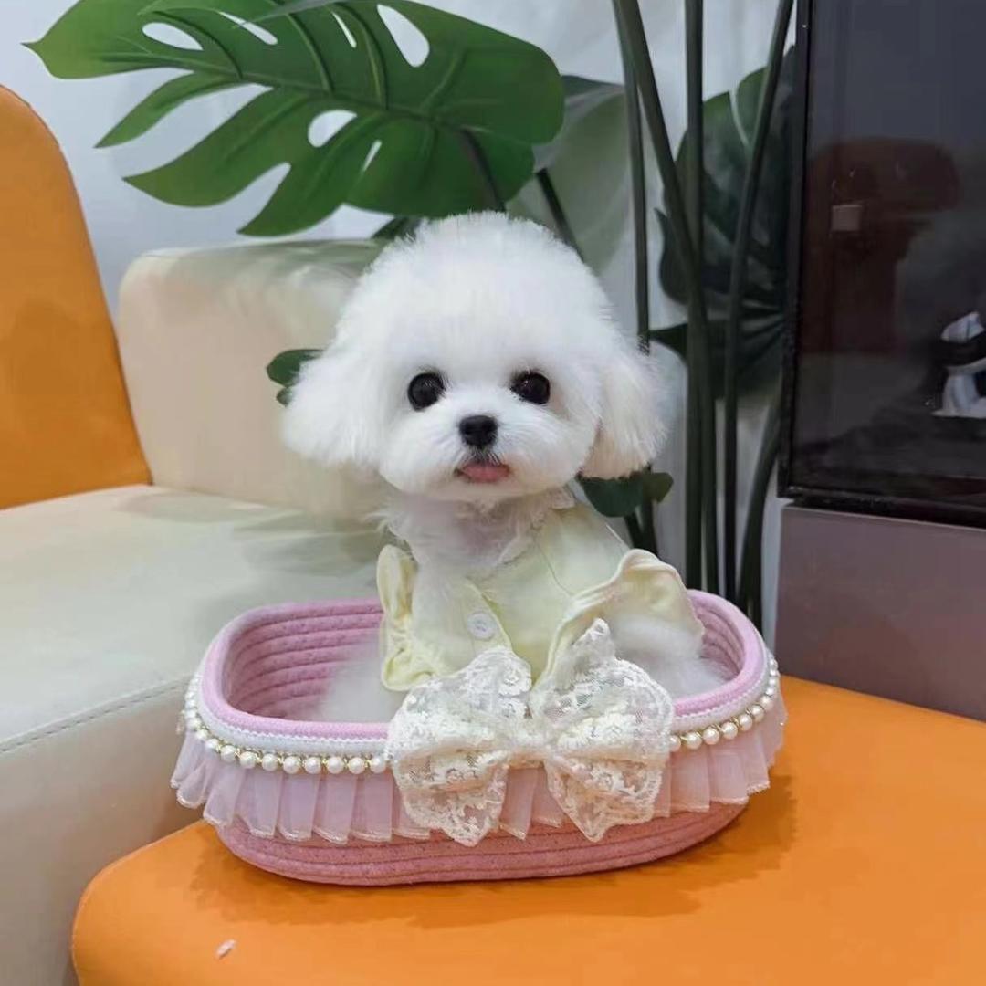 铭辉宠物工作室（个人独资）