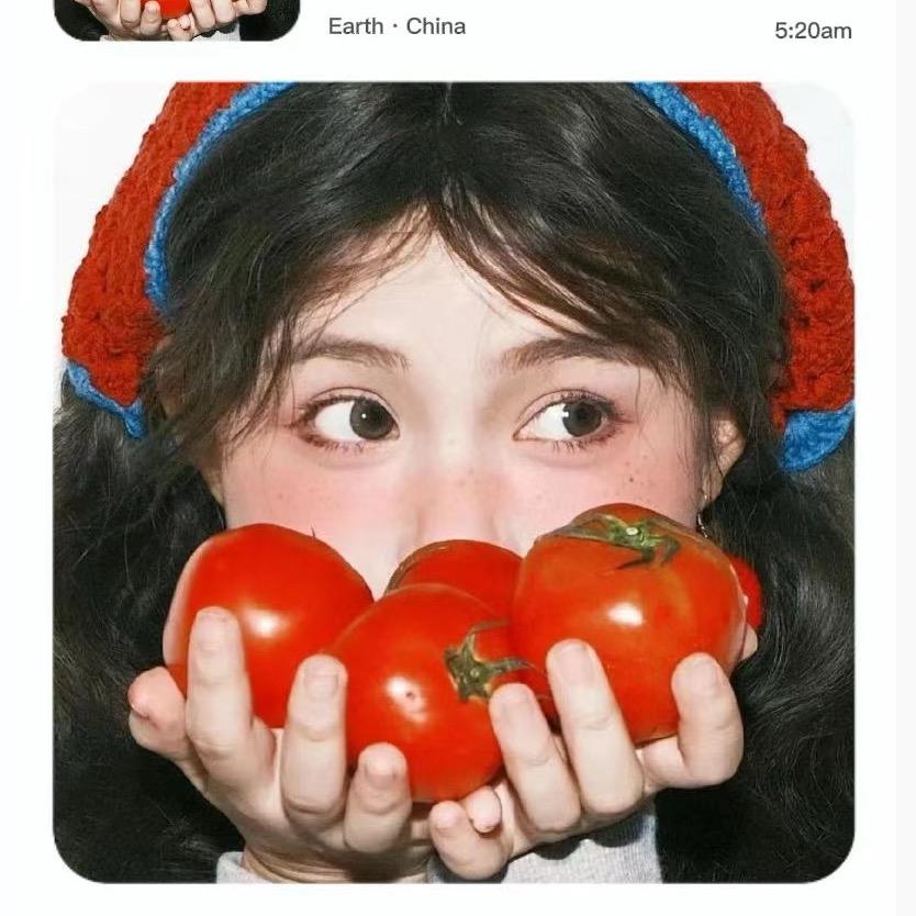 呆呆羊🐑