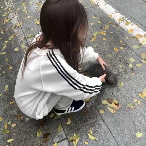 枯屿